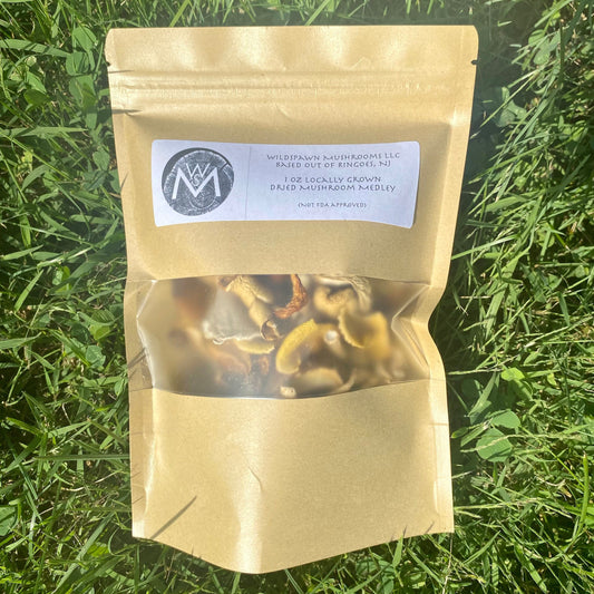 Dried Mushroom Medley