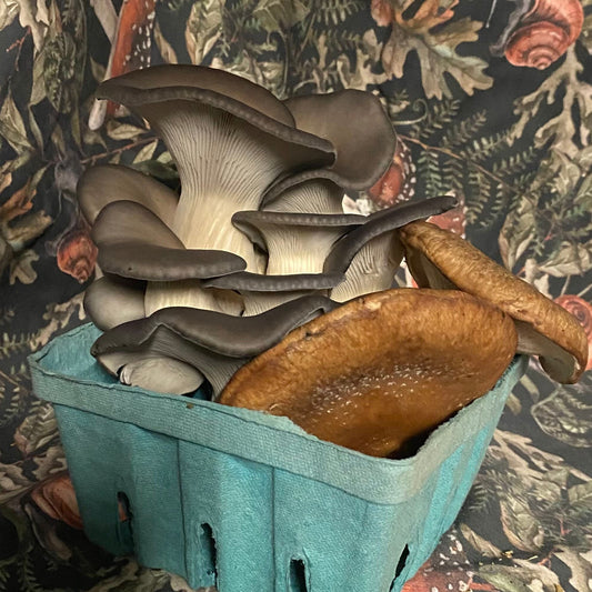 Oyster + Shiitake Mushroom Mix