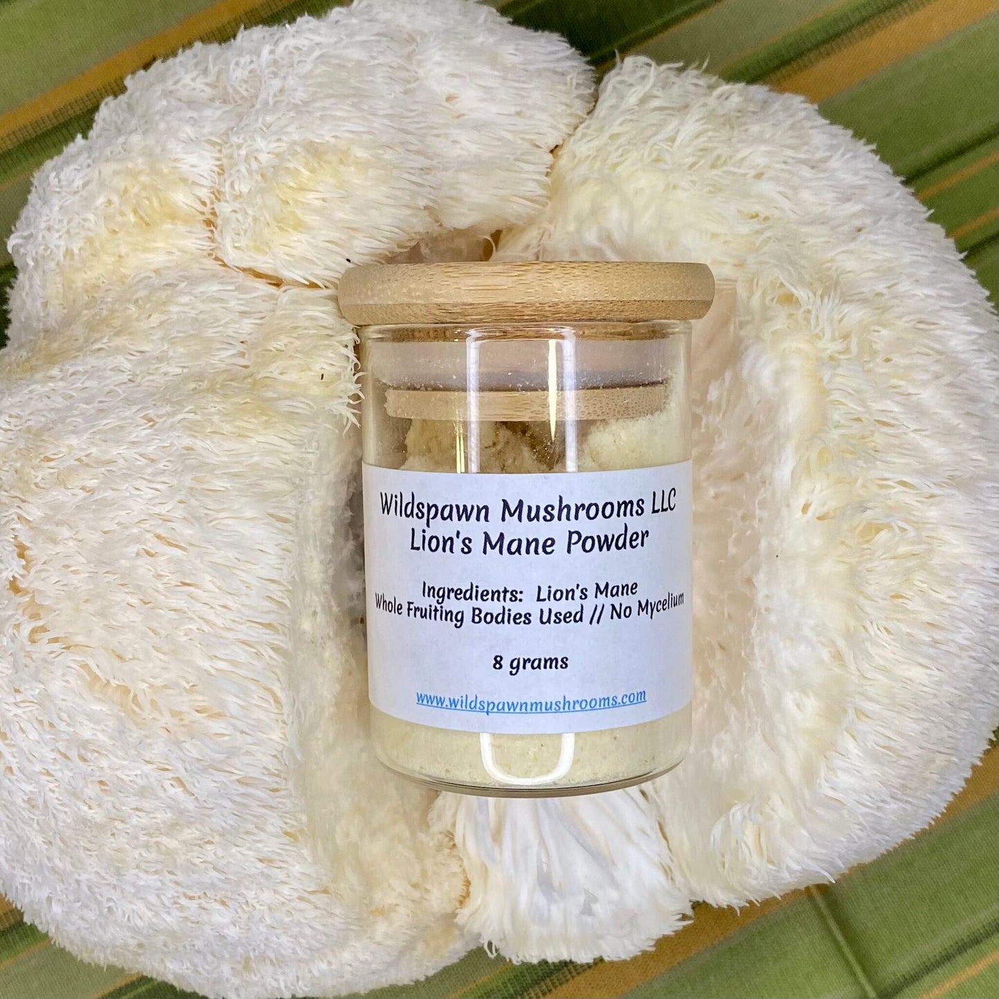Lion's Mane Powder